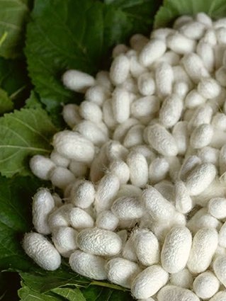 Luxury silk and cashmere blend knits for breathable and elegant resort wear